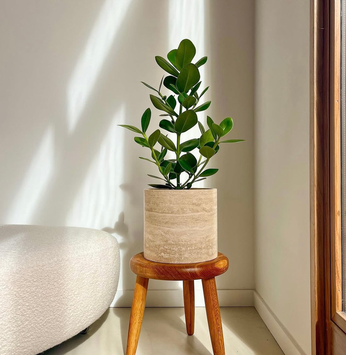 Mono - Behälter aus Travertin