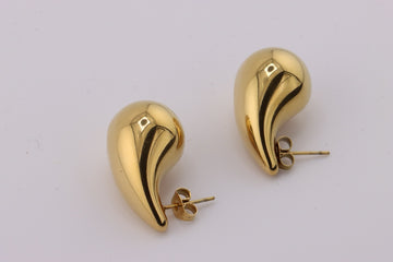 Golden Elegance Drop Earrings