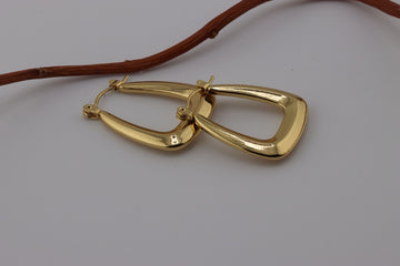 Golden Elegance Earring