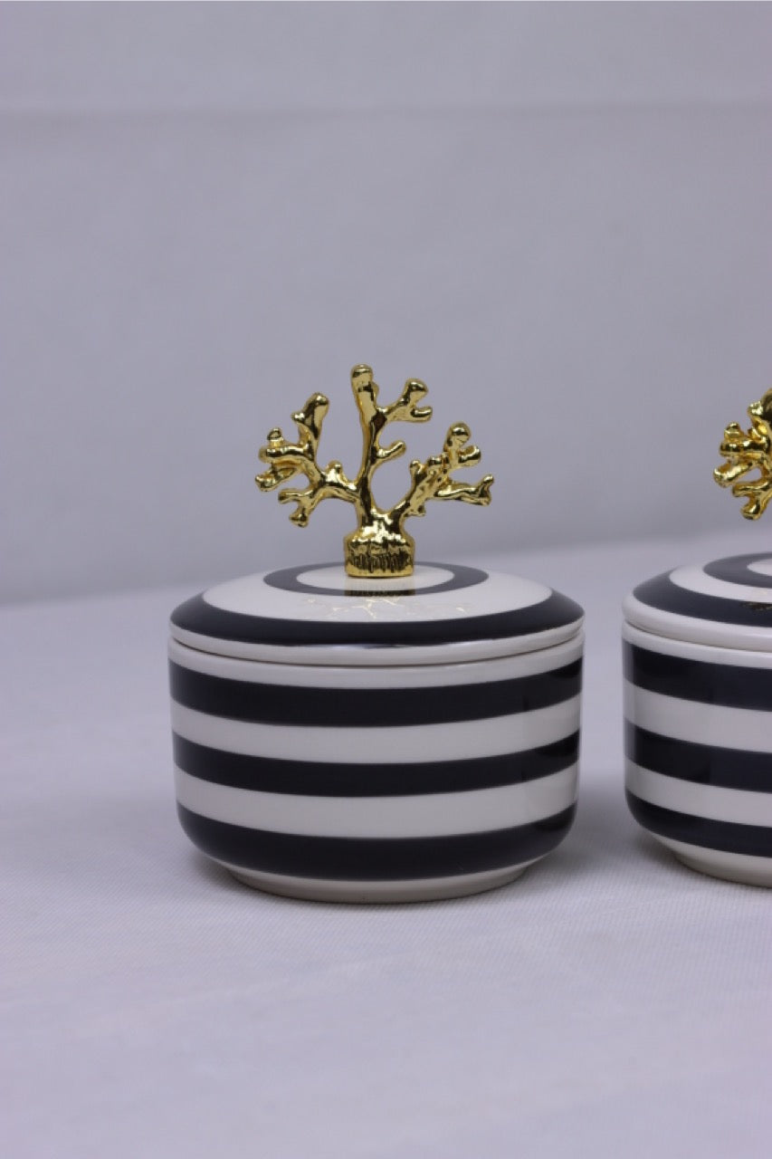 Coral Charm - Black & White Stripe