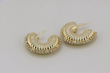 Radiant Elegance Hoops