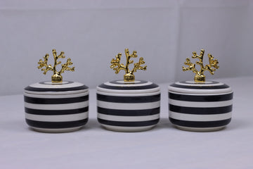 Coral Charm - Black & White Stripe