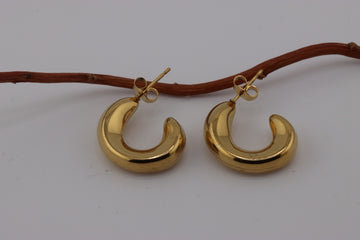 Golden Crescent Elegance Earrings