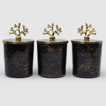 Coral Luxe Dosen - 3er Set