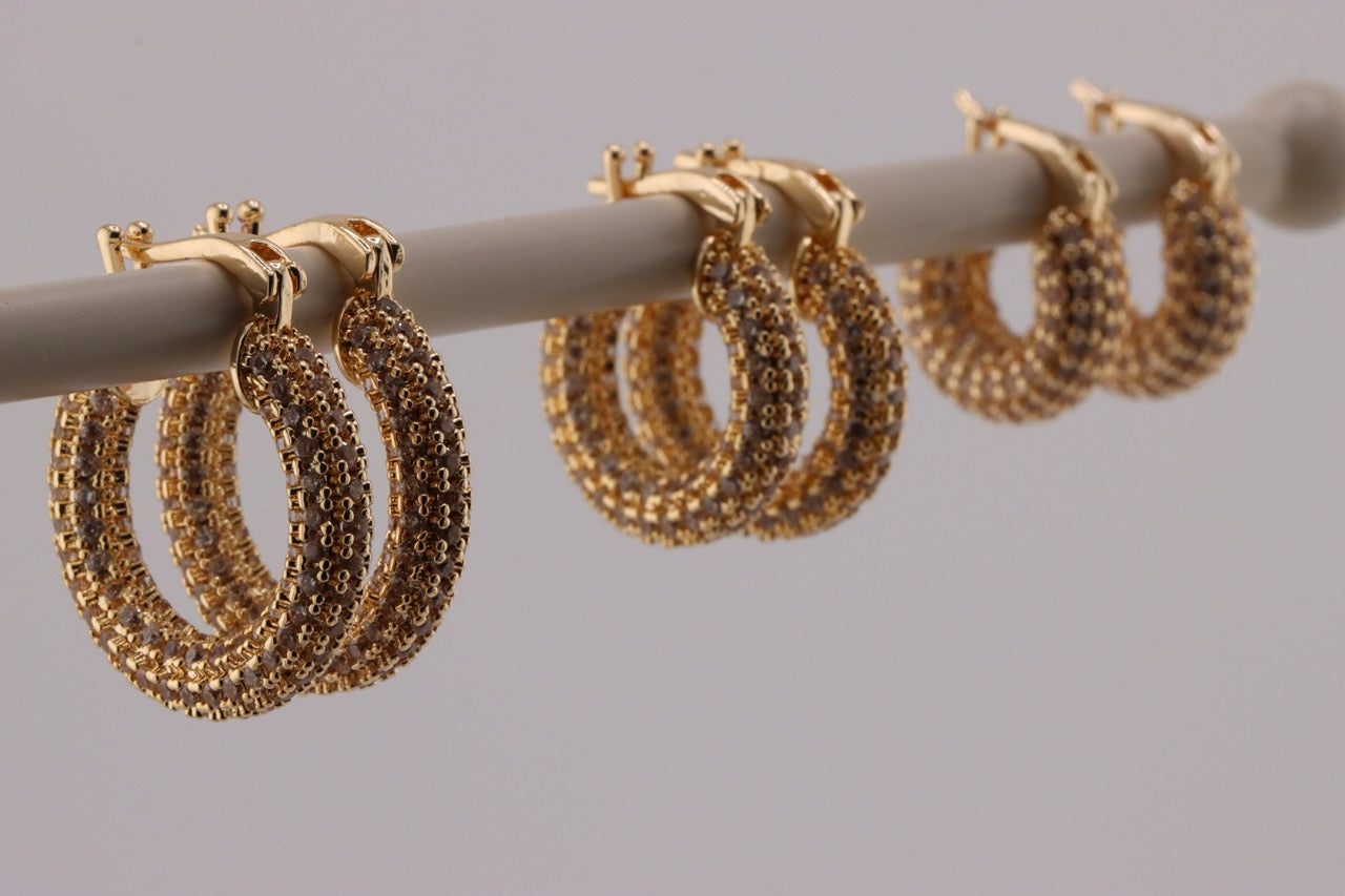 Radiant Elegance Hoops